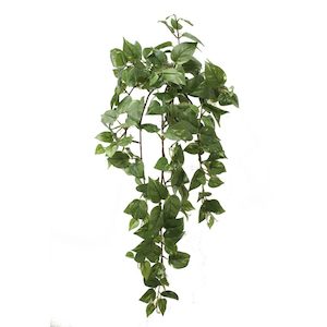 Pothos Vine 73cm With 170 Leaves