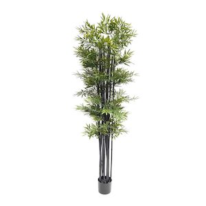 Japanese Bamboo 1.8m UV Stabilised Black