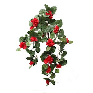 Geranium Vine Red 79cm