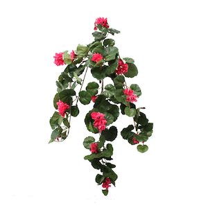 Geranium Vine Fuschia 79cm