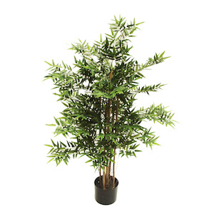 Oriental Bamboo 1.2m