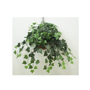 Ivy Vine 70cm UV Stabilised Complete In Hanging Basket