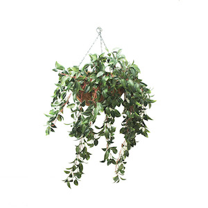 Mini Melon Bush 74cm Uv Stabilised In Hanging Basket