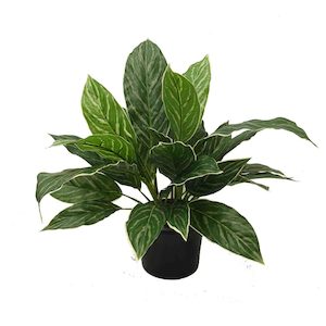 Double Aglaonema Bush 40cm Real Touch UV Stabilized Potted