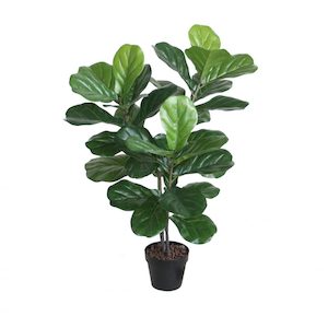 Fiddle Leaf Fig 1m Tree with Real Touch Leaves