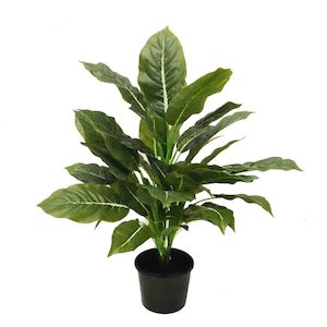 Plant, garden: Evergreen Bush Real Touch Leaves 60cm Potted