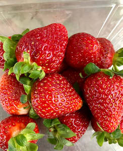 Strawberries - MAC’s :) Sweetly juicy, RIPE & Yummy