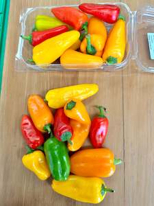 Grocery home delivery: Capsicums- Vine Sweet Mini Peppers.