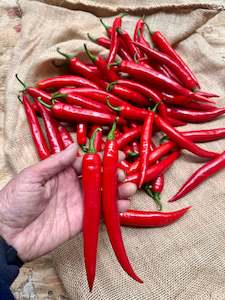 Chillies – Red  .85c each medium    (Southern Belle Orchard )