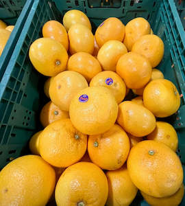 Grapefruit - Morrisons Gold  *EACH*