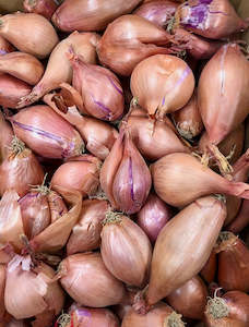 Onions – Shallots @ .200 gm Bag