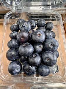 Blueberries - Beekist JUMBO blueberries - bursting with Sweet Flavour THE BEST!