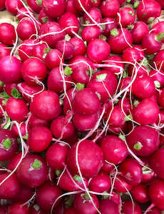 Radish. @ .250 gm bag