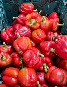 Grocery home delivery: Capsicum   Red extra small