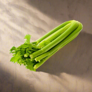 Celery @ LARGE lovely bunches