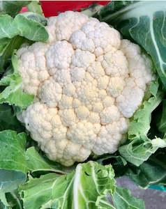 Cauliflower