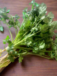 Coriander - Supa Fragrant with the roots on !  BIG BUNCHES TOO!