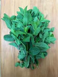 Mint @ .50 gms