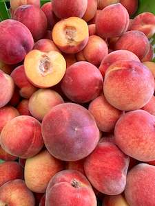 Peaches H.B. Spring Crest  *BEST BUY* Premium Fruit