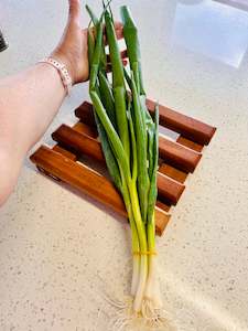 Spring Onions  Large bunch