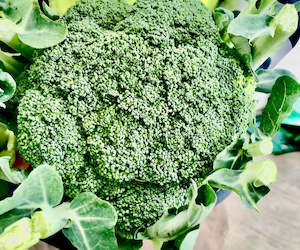 Grocery home delivery: Broccoli - Supa Dupa fresh @ Large