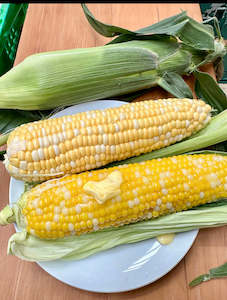 Sweetcorn Honey & Pearl $1.20 Cob Freshly picked!