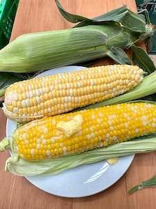 Grocery home delivery: Sweetcorn Honey & Pearl **Best Buy ** @ 5 Cobs for $4.50