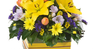 Auckland florist can deliver flowers on Auckland today