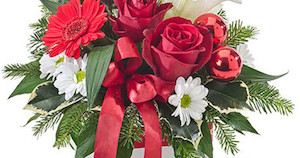 Flower: Christmas Splendour