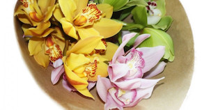 Auckland florist can deliver flowers on Auckland today