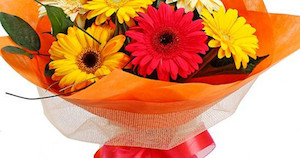 Auckland florist can deliver flowers on Auckland today