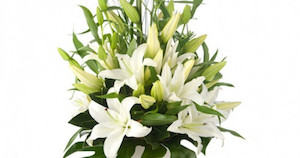 Auckland florist can deliver flowers on Auckland today