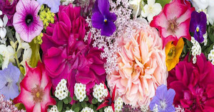 Flower: Grand Market Flowers