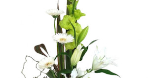 Auckland florist can deliver flowers on Auckland today