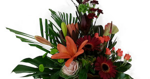 Auckland florist can deliver flowers on Auckland today