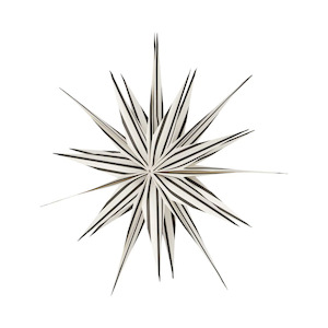 Large hanging star decoration black & white