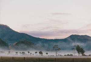 Coromandel Roadie limited edition photographic print