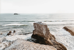 Wild and Rambling Muriwai NZ photographic print