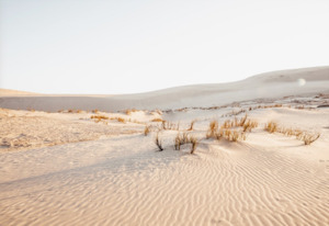 Sublime Mangawhai Dunes #3 photographic print