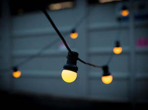 Outdoor LED festoon lights 10m