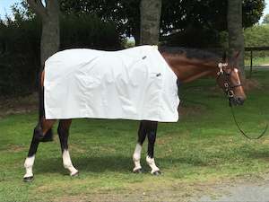 Products: Gregory Equine 10oz Loomstate Sheet - Gregory Equine