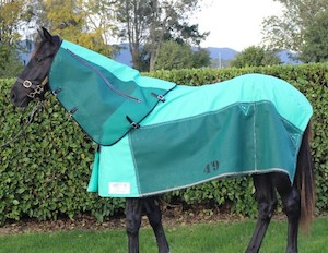 Gregory Equine 8oz & 10oz Fly Sheet