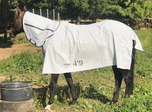 Canvas Horse Covers and Sheets: Gregory Equine Peria Cotton Combo - Gregory Equine