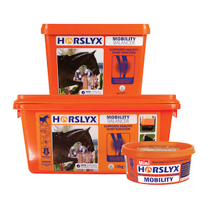 Products: Horslyx Mini Mobility 650gm