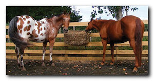 Small (3 Slice) Hay Saver