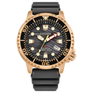 Mens Eco-Drive Promaster Dive Watch