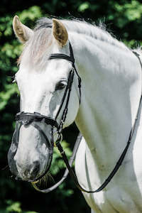 Horse Fly Masks: Flair Fly Mesh Nose Guard