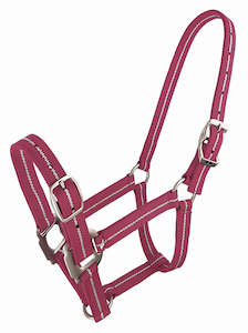 Halters Leads: Zilco Metallic Stripe Halter