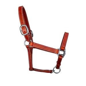 Halters Leads: Syd Hill Cooroy Track Halter