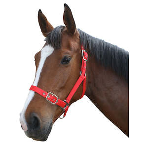 Horse: Flair Web Halter